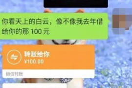 康乐为什么选择专业追讨公司来处理您的债务纠纷？